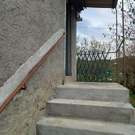 Casa Vita Apartment Vallebona Exterior photo