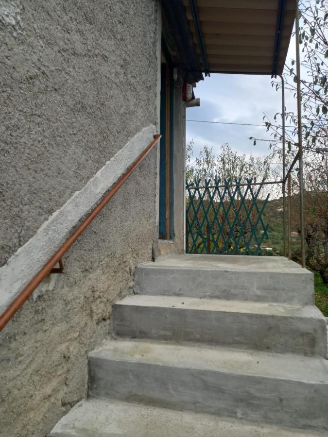 Casa Vita Apartment Vallebona Exterior photo